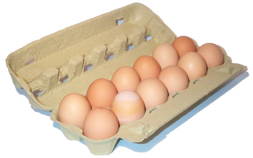 Egg carton open.jpg